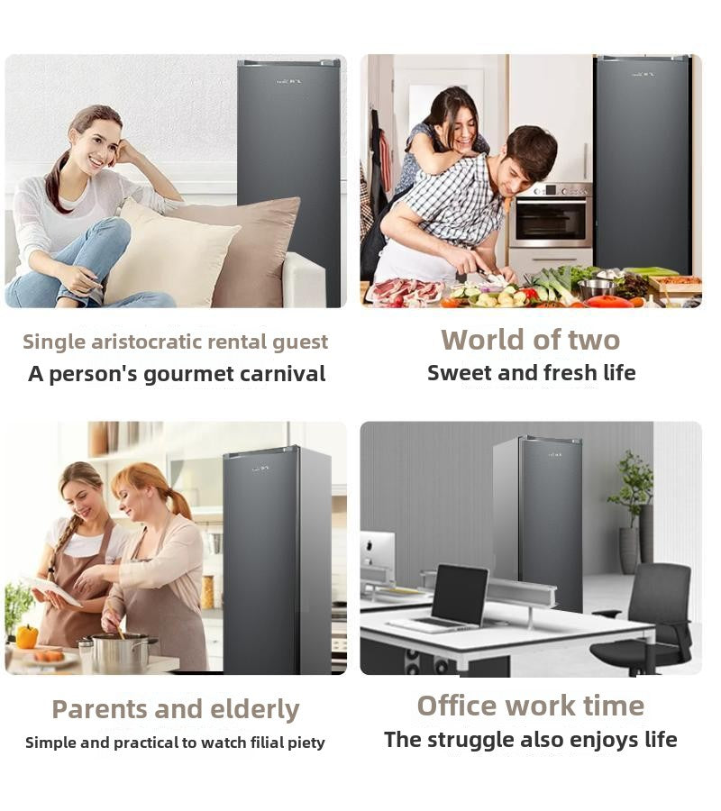 Frestec 288L Vertical Type Cabinet Freezer First-Class Large Capacity Drawer Type Genuine Goods Vertical Freezer BD-288LKAT