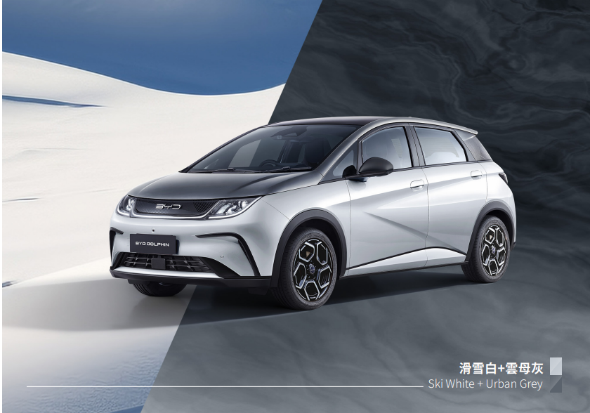 BYD DOLPHIN