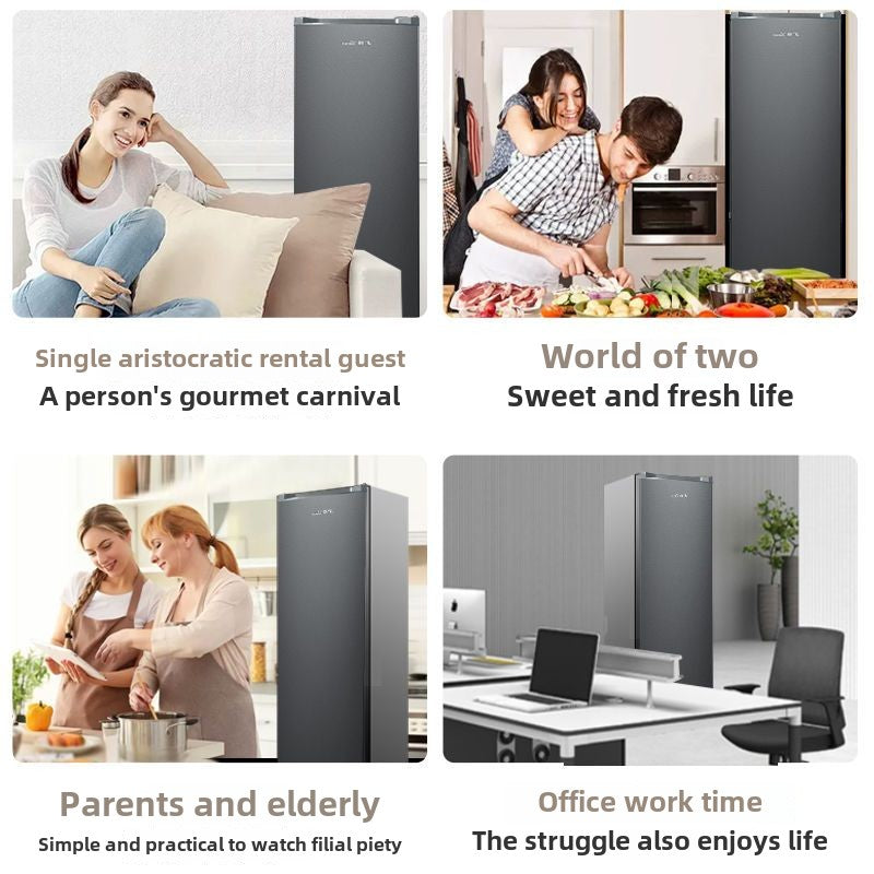 Frestec 288L Vertical Type Cabinet Freezer First-Class Large Capacity Drawer Type Genuine Goods Vertical Freezer BD-288LKAT
