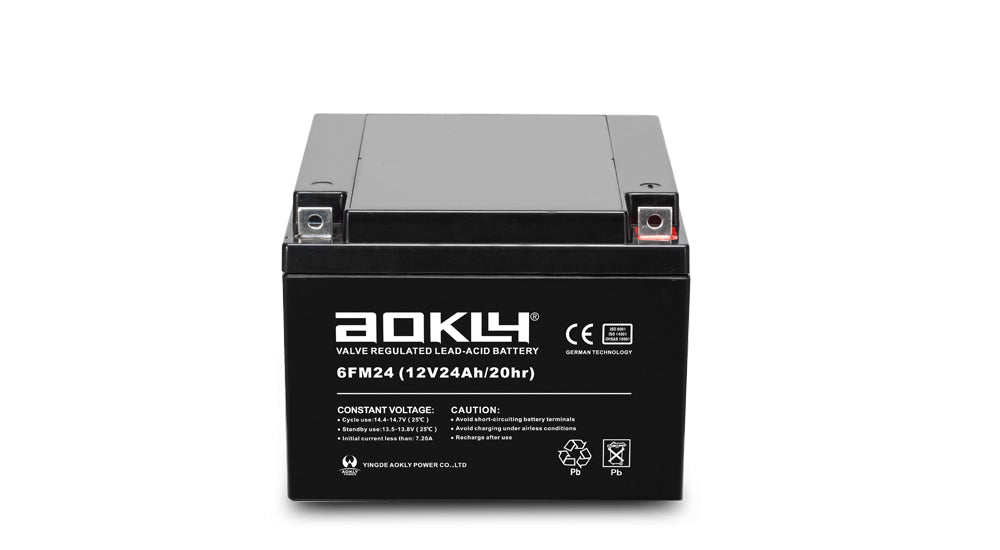 12V 24AH