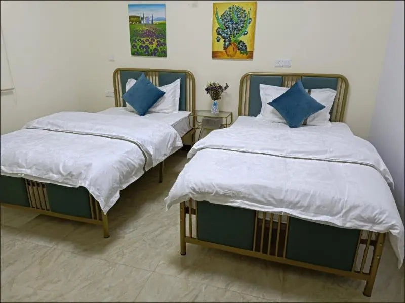Metal Bed Soft Head DX01